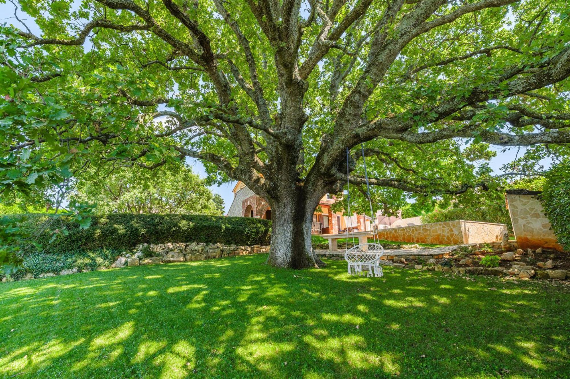 Villa Hrast Bacva Visnjan Luaran gambar