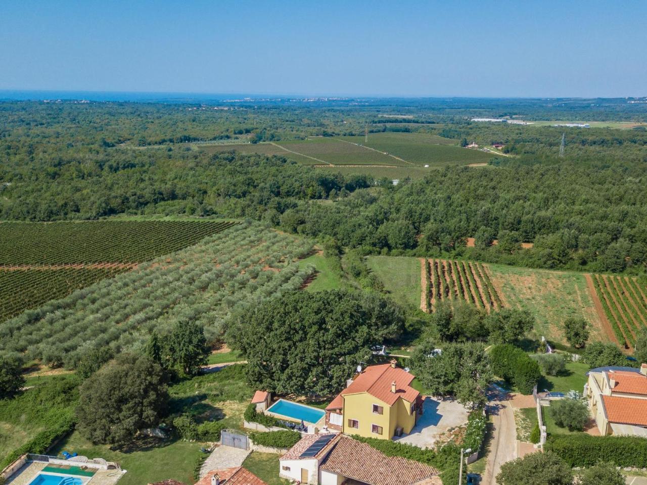 Villa Hrast Bacva Visnjan Luaran gambar